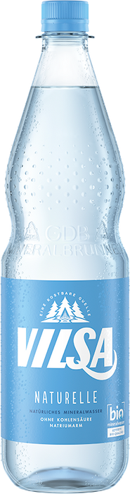 Vilsa Brunnen Naturelle - 12 x 1,00 l
